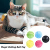 Biradu™ Active Rolling Ball (4 Colors Included)