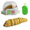 Electric Caterpillar Remote Control Toy