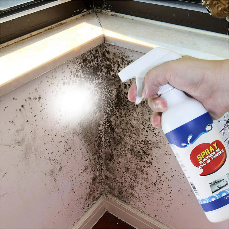 Vanquish Mold Instantly Spray