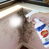 Vanquish Mold Instantly Spray
